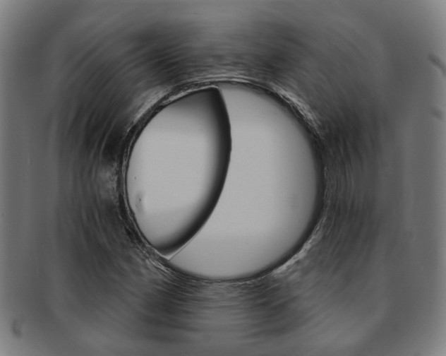 X0000091901162200709051058
