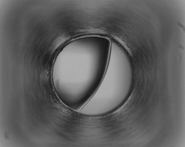 X0000091901163200709051058