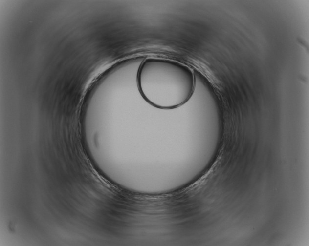 X0000091901164200709051058