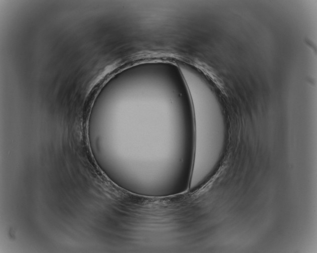 X0000091901165200709051058
