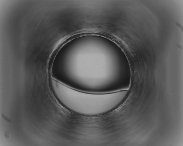 X0000091901168200709051058