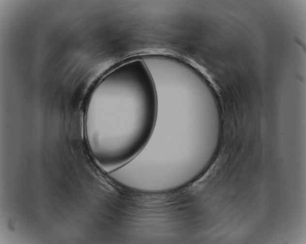 X0000091901171200709051058