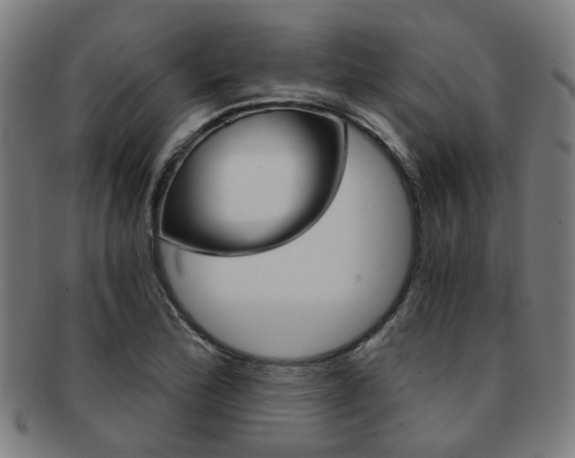 X0000091901172200709051058