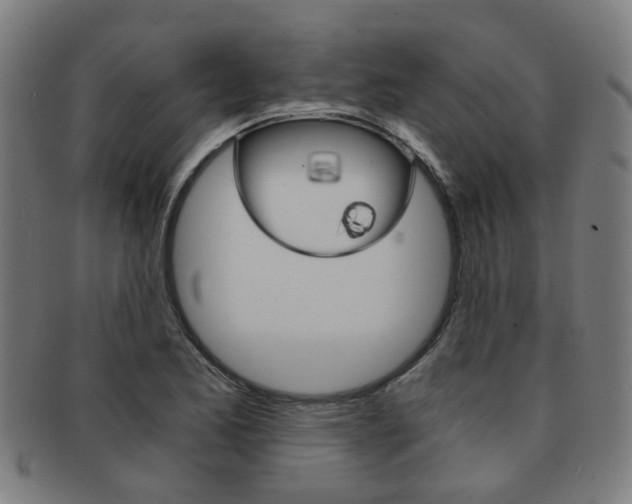 X0000091901173200709051058