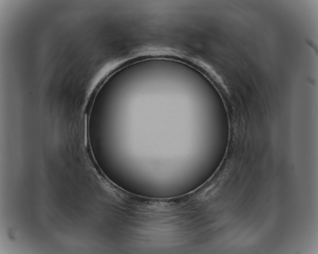 X0000091901175200709051058