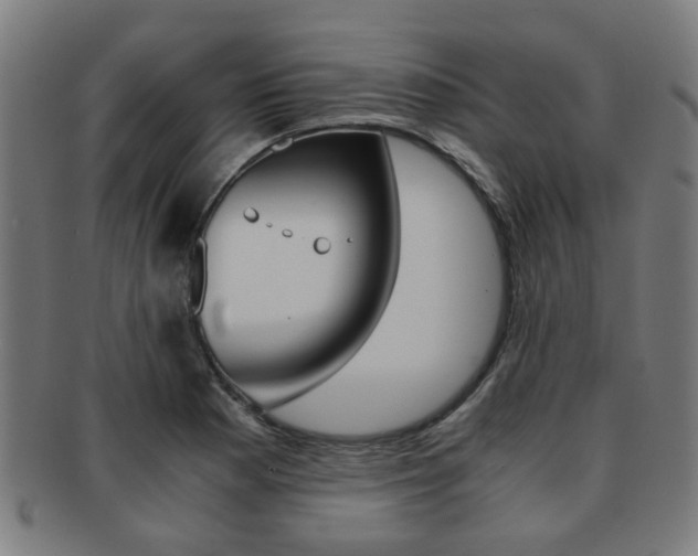 X0000091901177200709051058