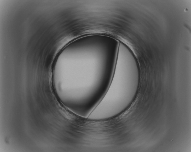 X0000091901179200709051058