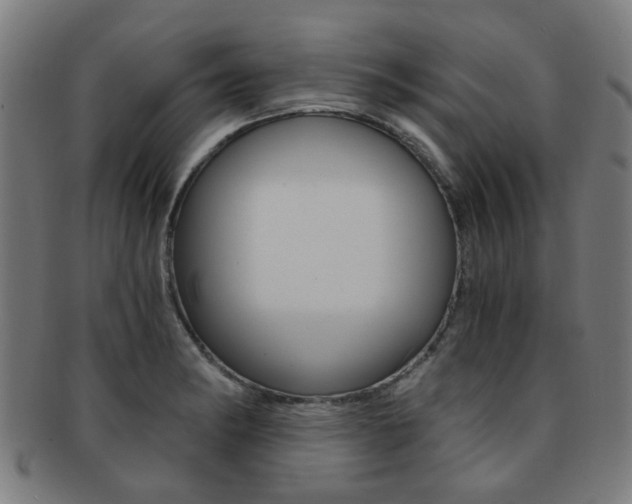 X0000091901182200709051058