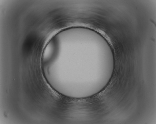 X0000091901183200709051058