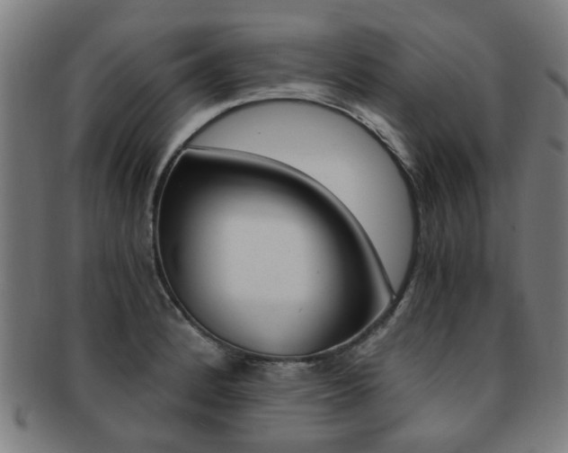 X0000091901184200709051058