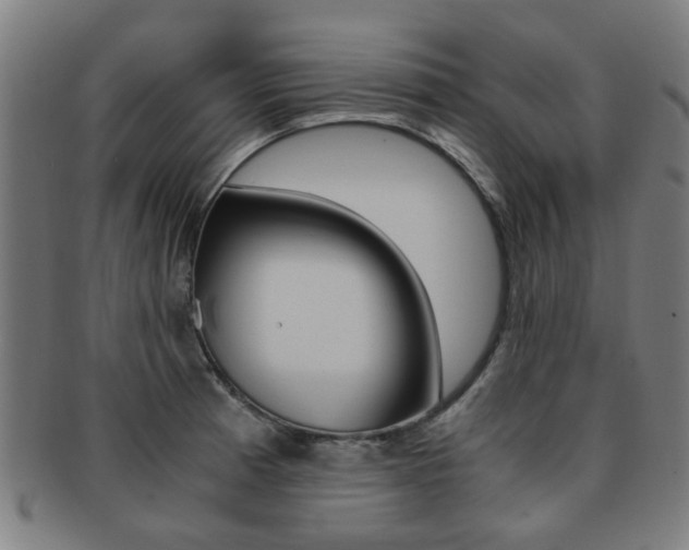 X0000091901185200709051058