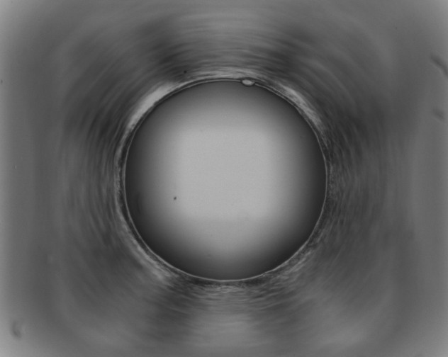 X0000091901187200709051058