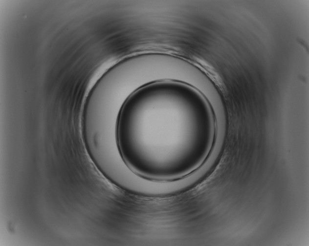 X0000091901188200709051058