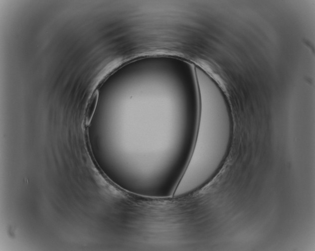 X0000091901189200709051057