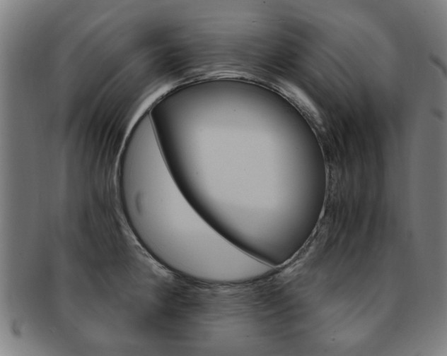 X0000091901190200709051057