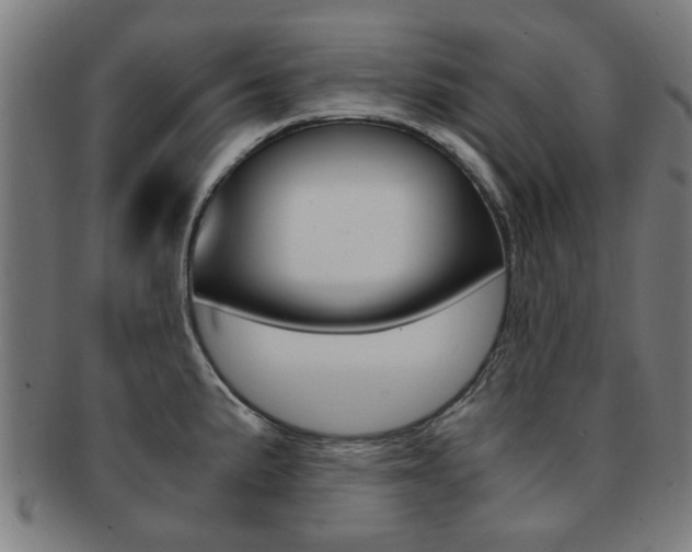 X0000091901191200709051057