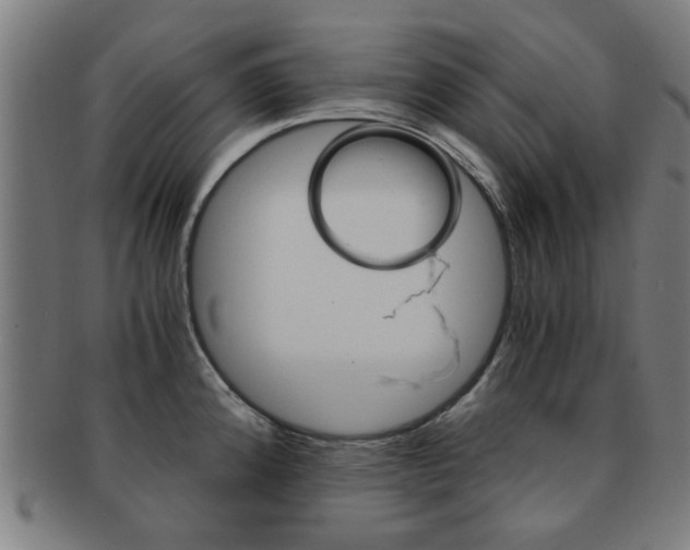 X0000091901192200709051057