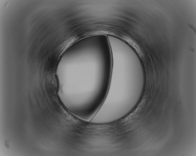 X0000091901193200709051057