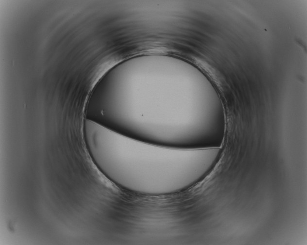X0000091901194200709051057
