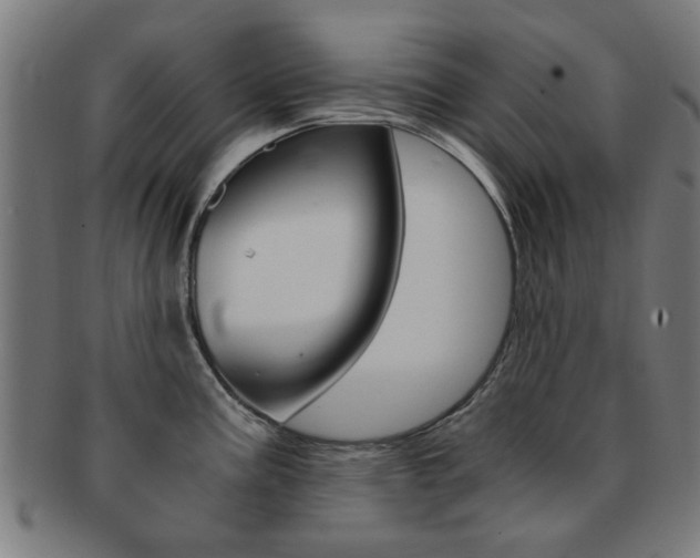 X0000091901195200709051057