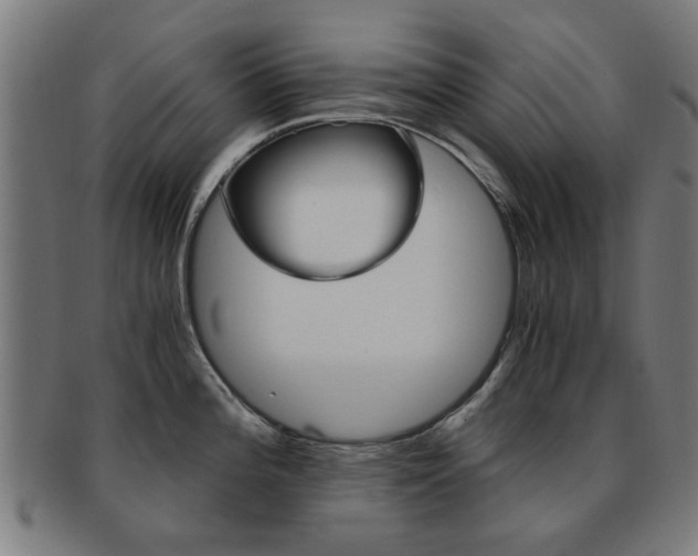 X0000091901196200709051057