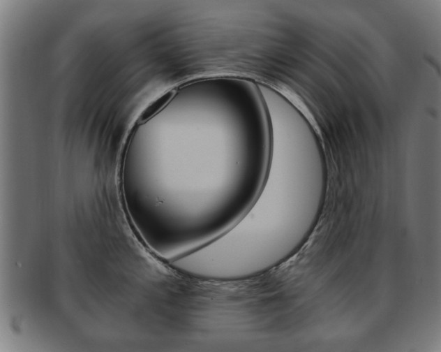X0000091901197200709051057