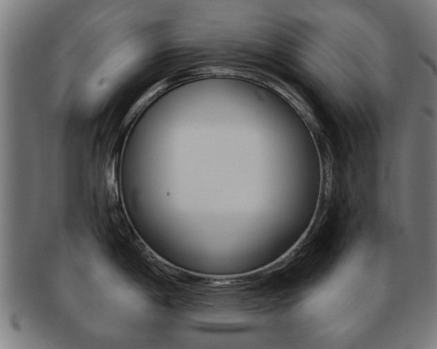 X0000091901198200709051057