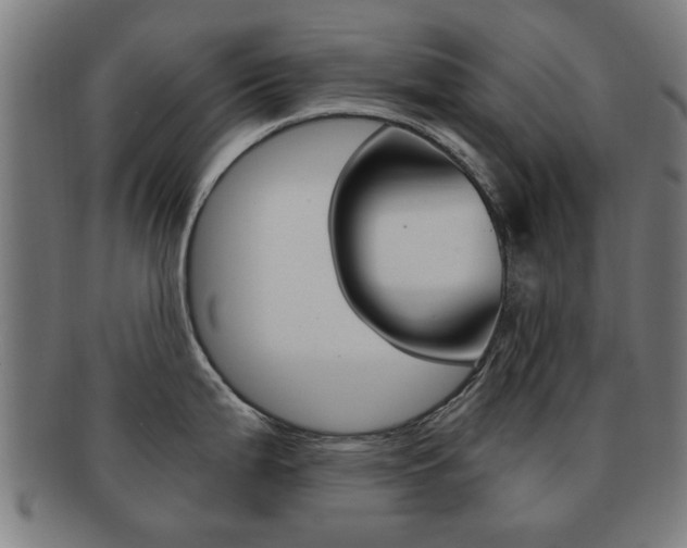 X0000091901199200709051057
