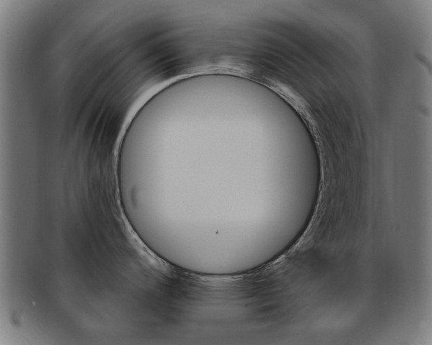 X0000091901200200709051057