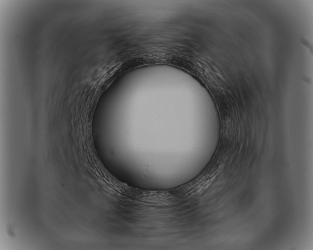 X0000091901201200709051057