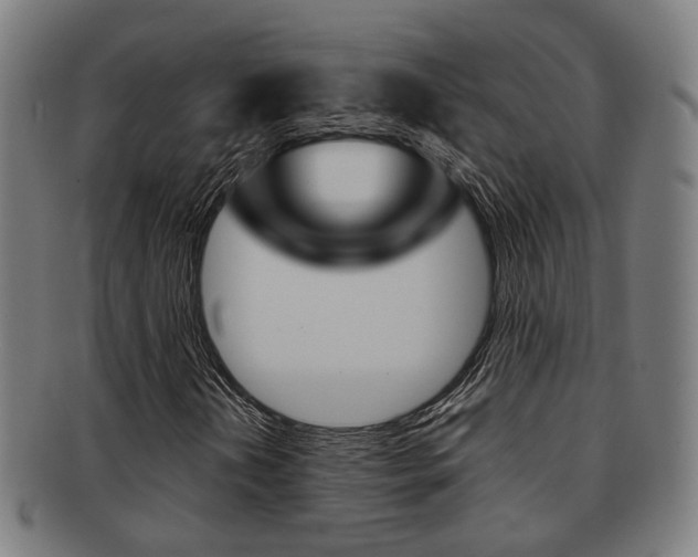 X0000091901202200709051057