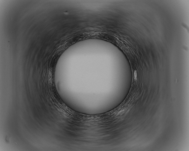 X0000091901203200709051057