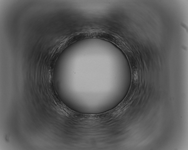 X0000091901204200709051057