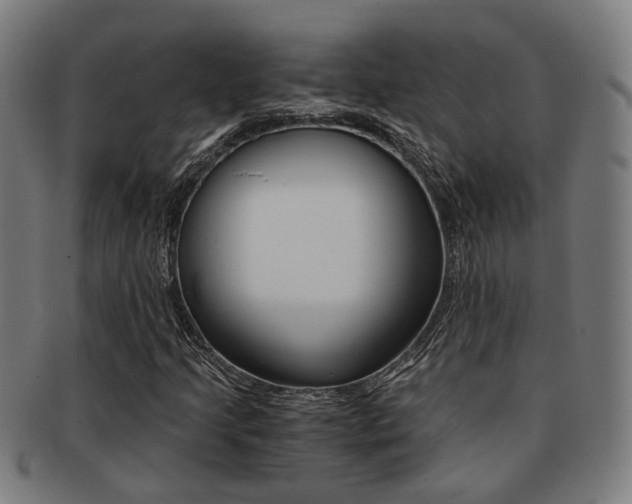 X0000091901205200709051057