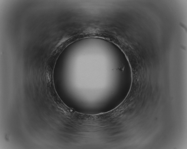 X0000091901206200709051057