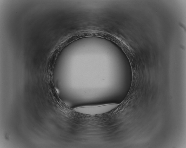 X0000091901207200709051057