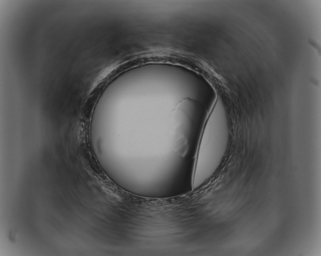 X0000091901208200709051057