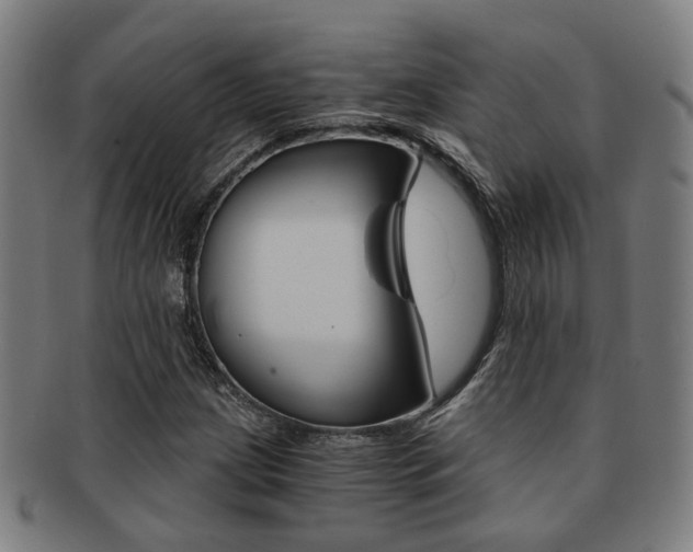 X0000091901209200709051057