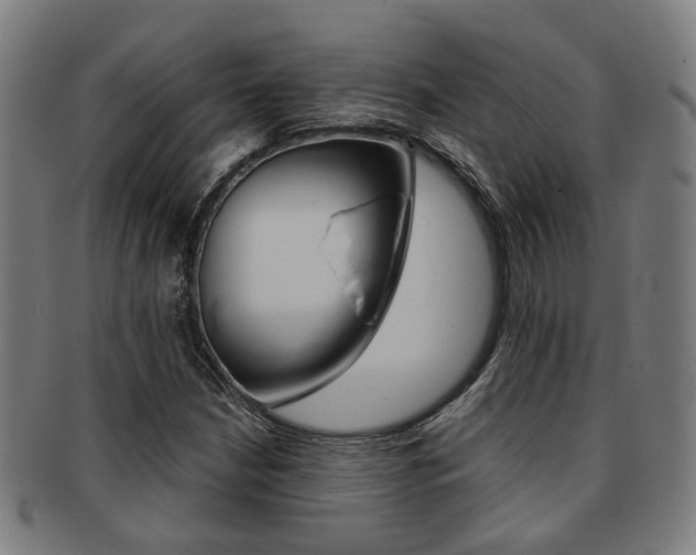 X0000091901210200709051057