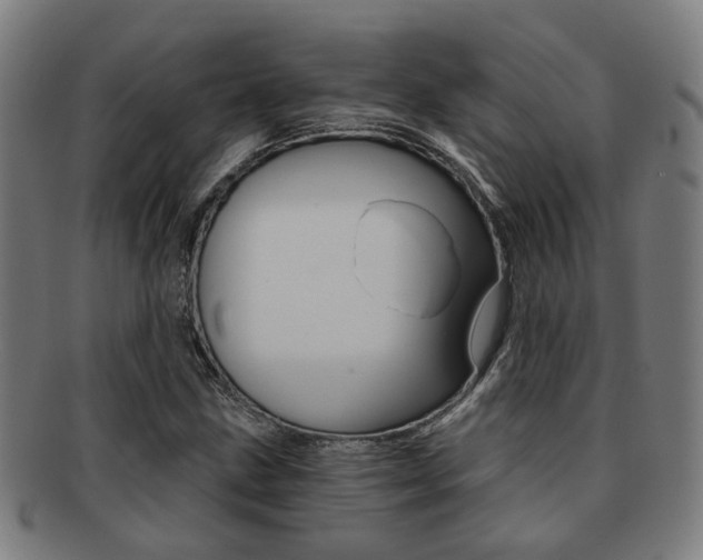X0000091901211200709051057