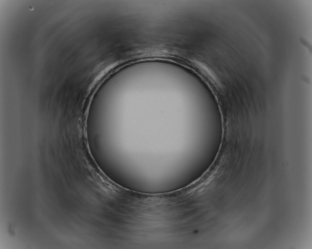 X0000091901212200709051057