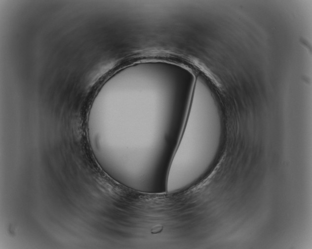 X0000091901213200709051057
