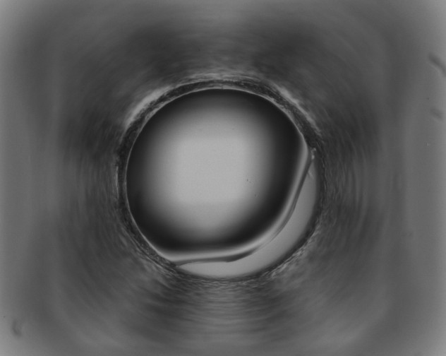 X0000091901214200709051057