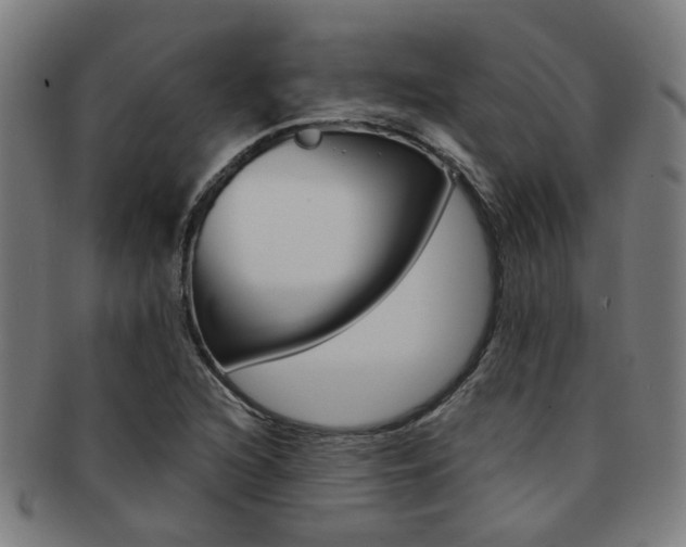 X0000091901216200709051057