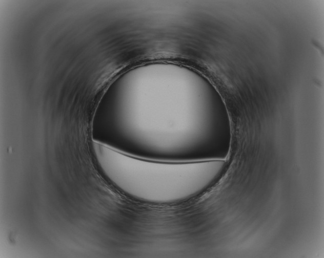 X0000091901217200709051057
