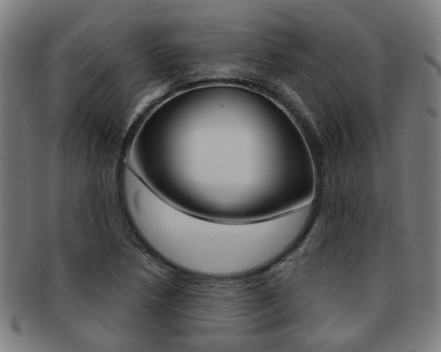 X0000091901218200709051057
