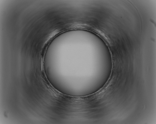 X0000091901219200709051057