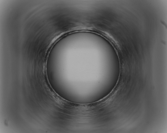 X0000091901220200709051057