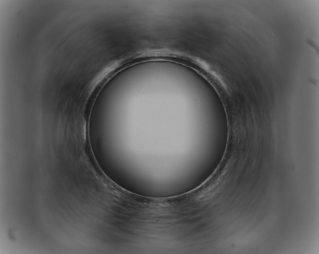 X0000091901221200709051057