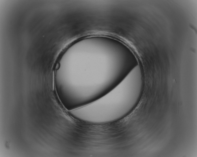 X0000091901223200709051057